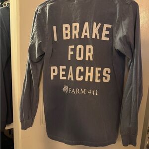 Comfort Colors Blue Long Sleeve Shirt Small